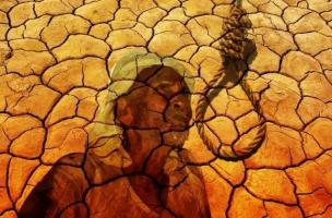 farmer suicides 