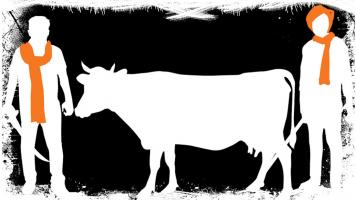 gau rakshak 