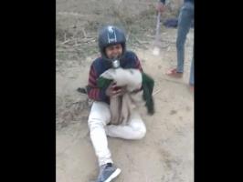 dalit assertion 