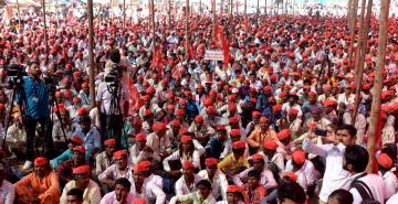 Agricultural Crisis india