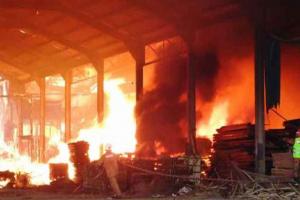 bijnor paper and chemical mill