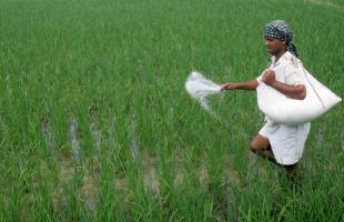 fertilizers.