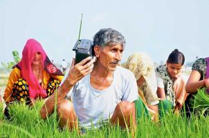 farmer 