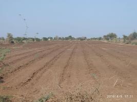 Surendranagar
