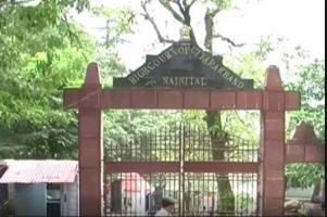 उत्तराखंड हाईकोर्ट