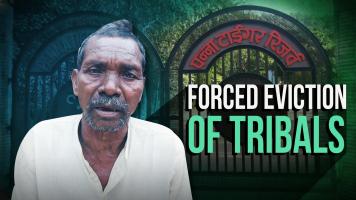 panna tiger reserve tribles