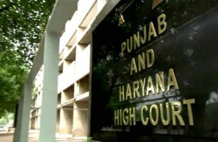 haryana pubab high court