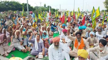 kashmir and  punjab