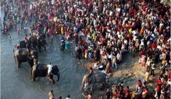 sonpur animal fair