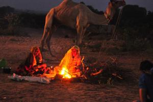 pushkar mela