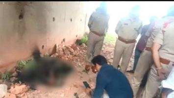 rape and murder