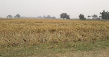 पराली जलाने पर शासन 