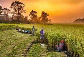 प्रधानमंत्री फसल बीमा योजना