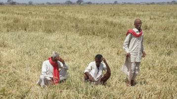 ग्रामीण भारत में कोविड-19
