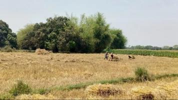 ग्रामीण भारत 