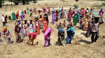 bihari labors