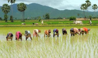 लॉकडाउन और आर्थिक संकट