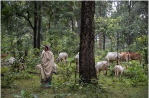 आदिवासी समुदाय पर कोयला खदान और हिंदू धर्म थोप रहा है अडानी समूह