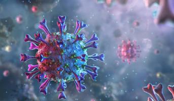 COVID-19: Deceased Patients’ Autopsies Show Remarkable Immune Failure