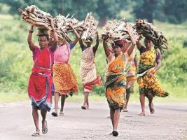 छत्तीसगढ़