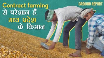 Contract farming 