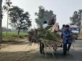किसान आंदोलन