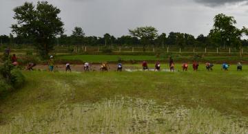 kisann