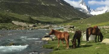 अश्तर घाटी पीर पंजाल पर्वत श्रृंखला के आसपास शालि गंगा नदी। फ़ोटो: साभार: राजा मुज़फ़्फ़र भट