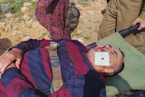 फ़िलिस्तीनियों पर चरमपंथी सेटलर के हमलों में ख़तरनाक वृद्धि : यूएन विशेषज्ञ