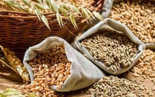तेल का आयात कम करना अमीरों को सब्सिडी और गरीबों पर बोझ लादना है!