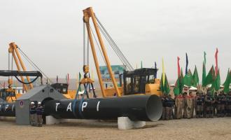 Will Taliban Rule in Afghanistan