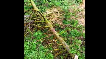 Close Encounter with Nature
