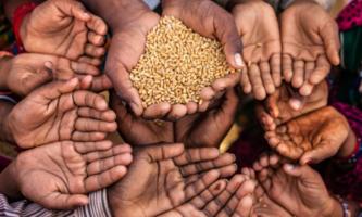 hunger crisis