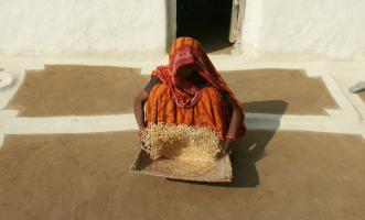Agriculture