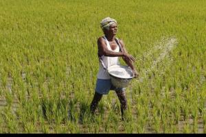 farmer