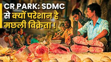 sdmc